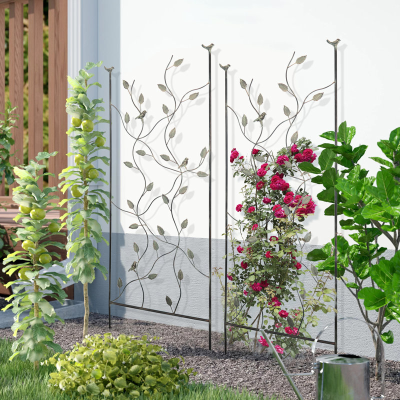 Lark Manor&amp;trade; 20" W X 59" H Vine Garden Trellis for Climbing Vines, Roses, Potted Plants, and Flowers, No Assembly Needed (set of 2) &amp;amp; Reviews | Wayfair