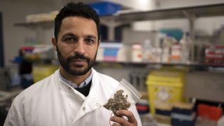 Dr Javid Abdelmoneim Cannabis: Miracle Medicine or Dangerous Drug?