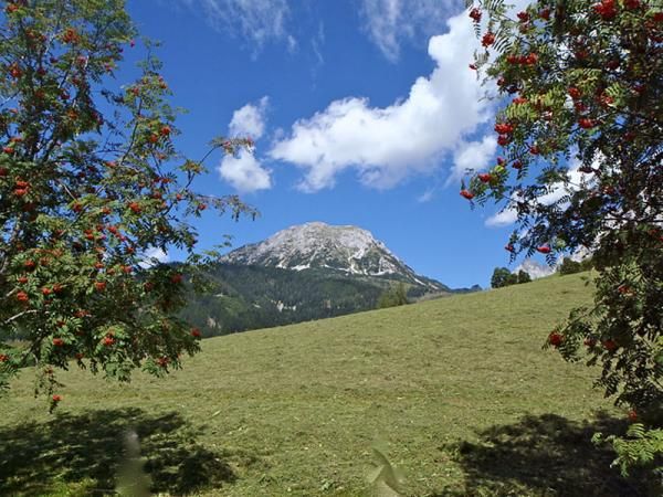 The Alps in the summer