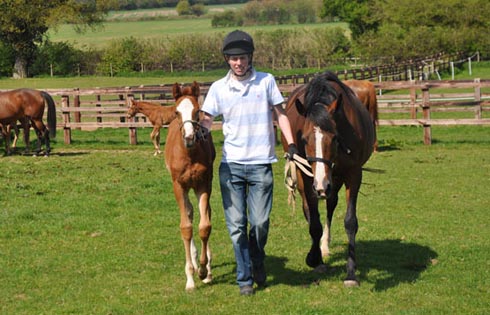 equine-science-summer-schoo