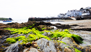 Idle Rocks, St Mawes