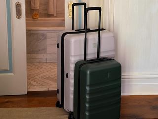 Suitcases in a hotel room