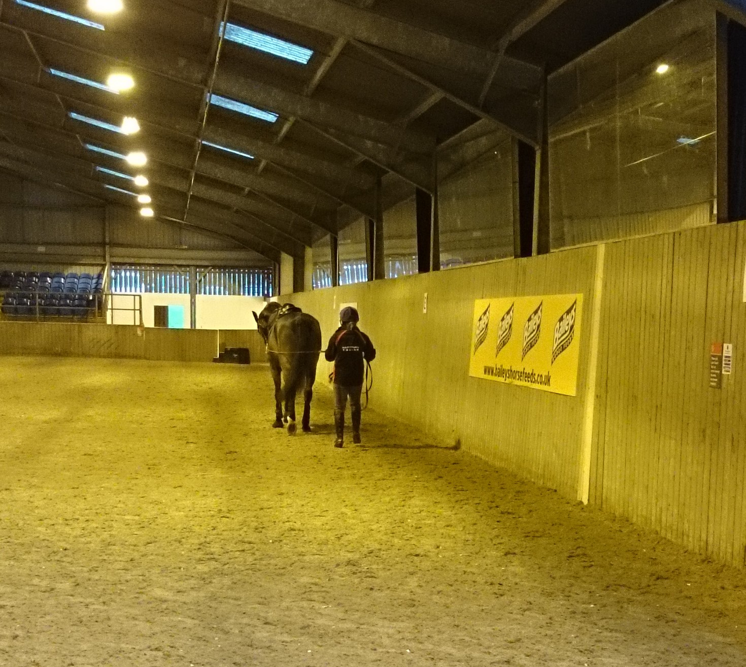 Fizz Marshall long reining 2