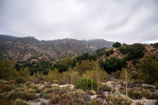 Eaton Canyon hiking trails