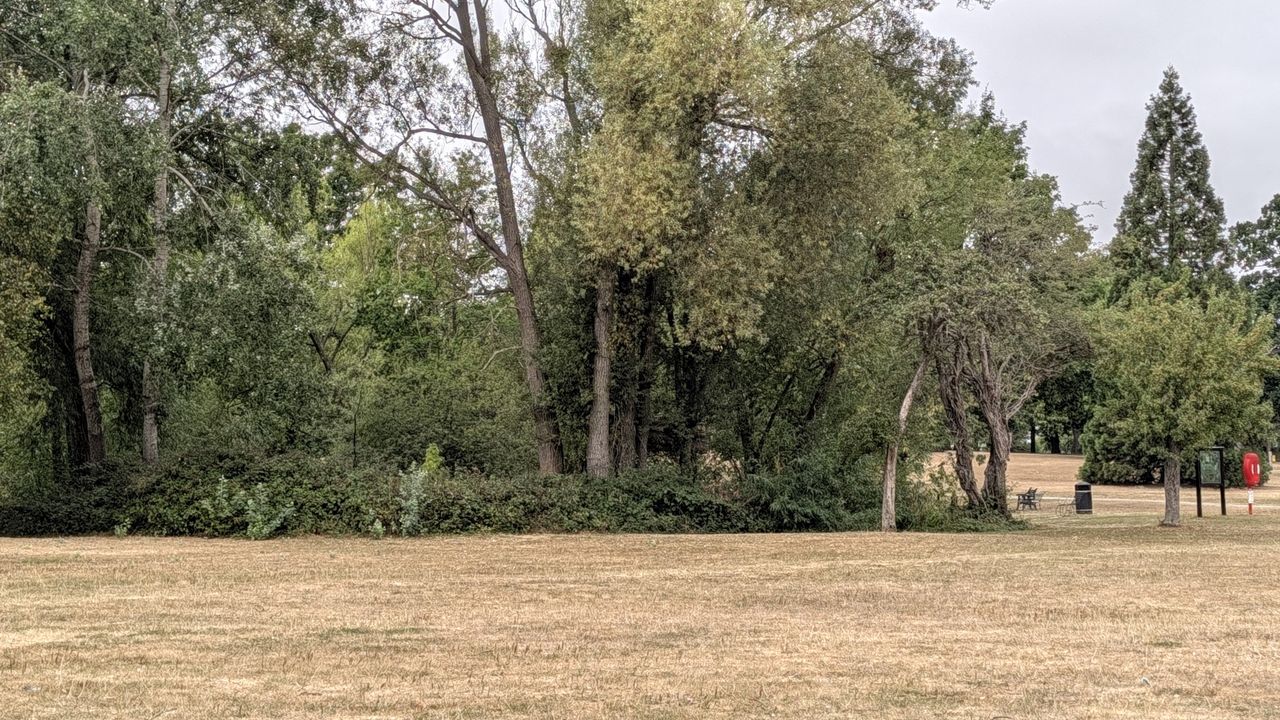 Google Pixel 11 Pro review sample image &ndash;&nbsp;2x zoom