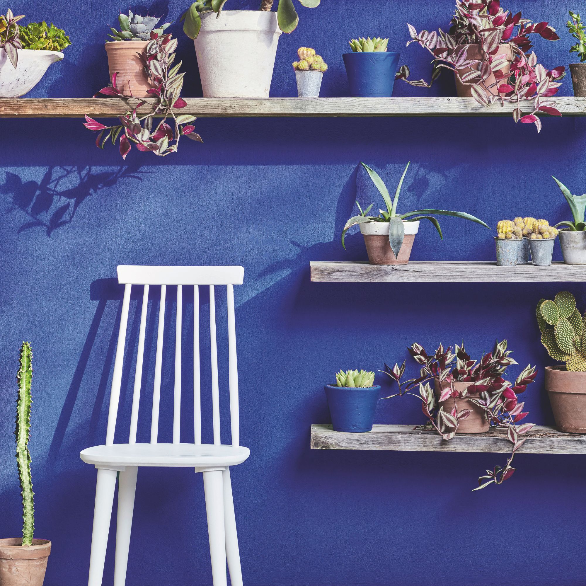 Mediterranean style garden Little Greene