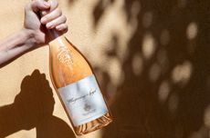 Whispering Angel rose