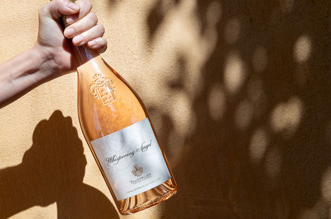 Whispering Angel rose