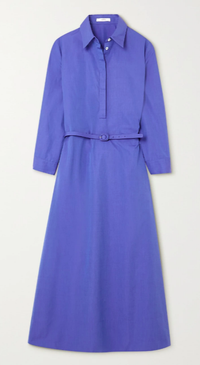 The Row Tanita Wool Maxi Shirt Dress $1,890