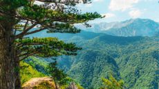The ancient primeval forest of Perucica with the majestic Skakavac waterfall, one of the last remaining rainforests in Europe, Sutjeska National Park
