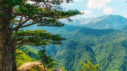 The ancient primeval forest of Perucica with the majestic Skakavac waterfall, one of the last remaining rainforests in Europe, Sutjeska National Park