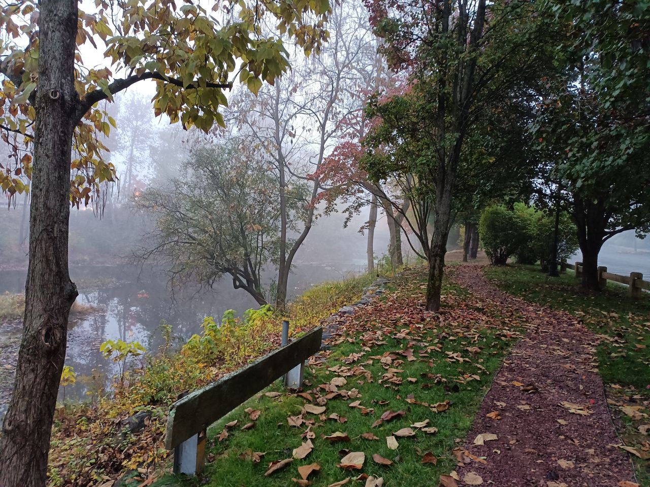 OnePlus Nord N300 5G camera image samples