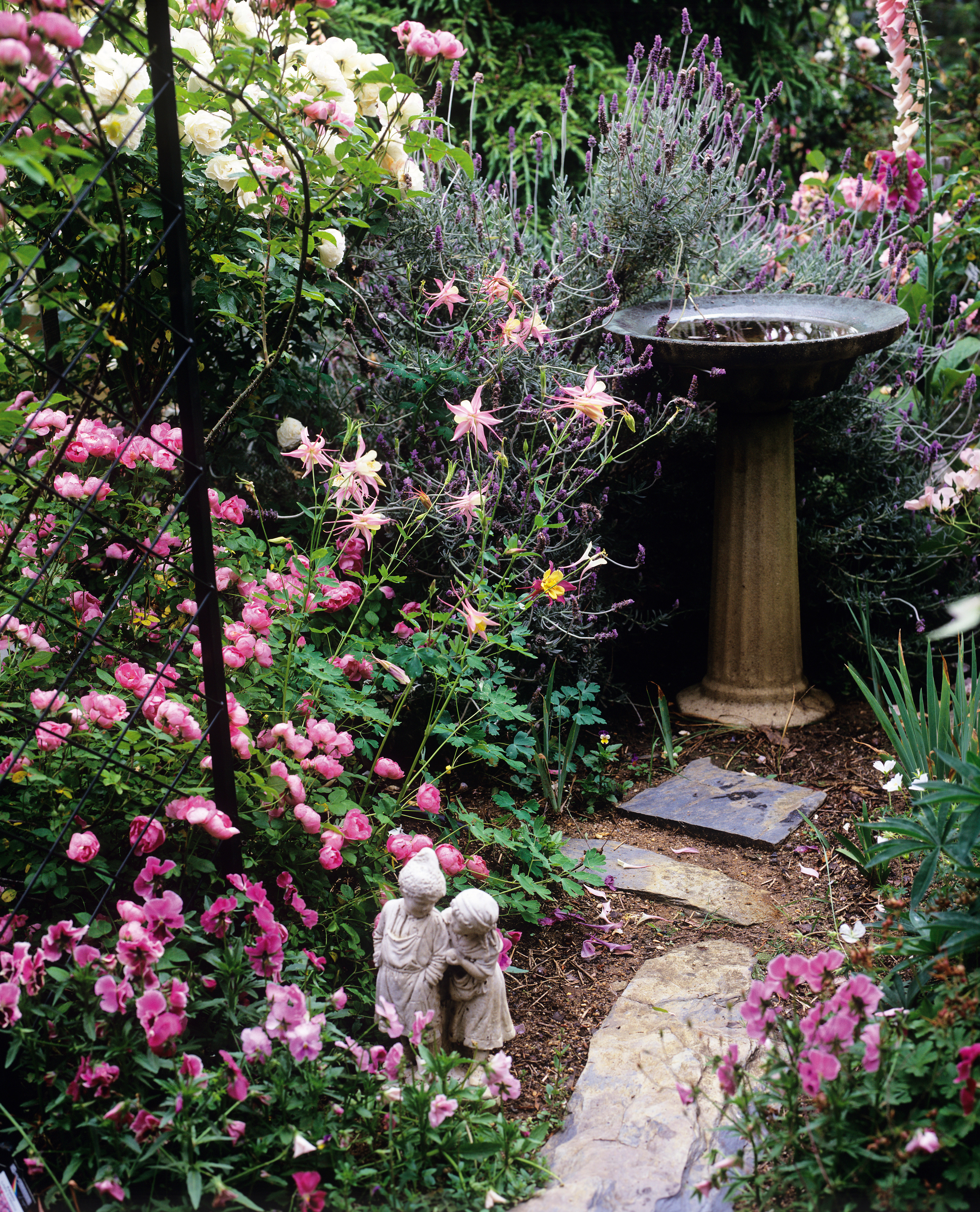 garden borders in a small garden