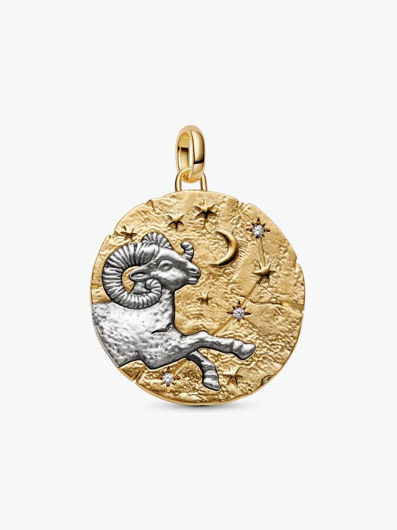 Aries Zodiac Oversized Medallion Charm