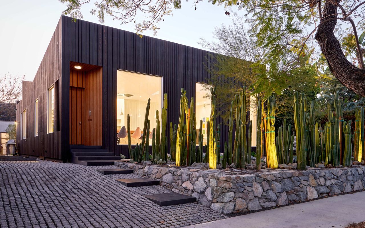 A well-lit front yard featuring cacti