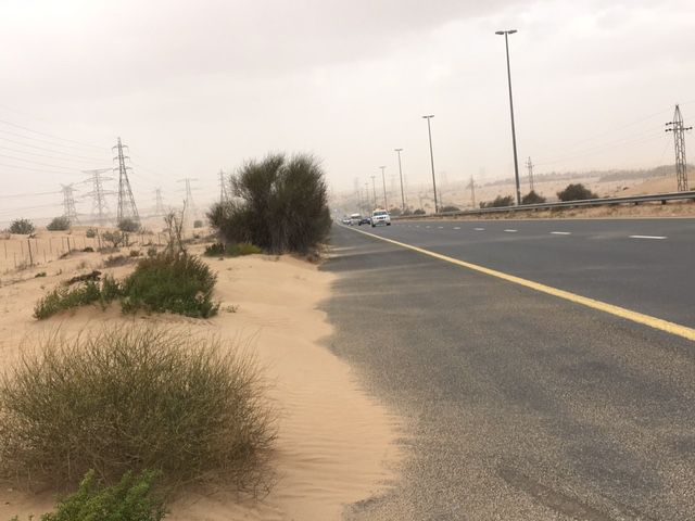 Wind blows sand across the road