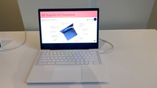 HP Dragonfly Pro Chromebook