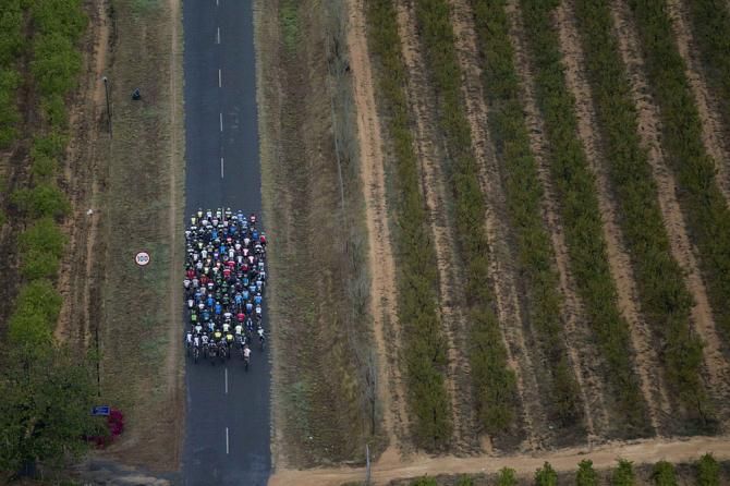 The lead bunch