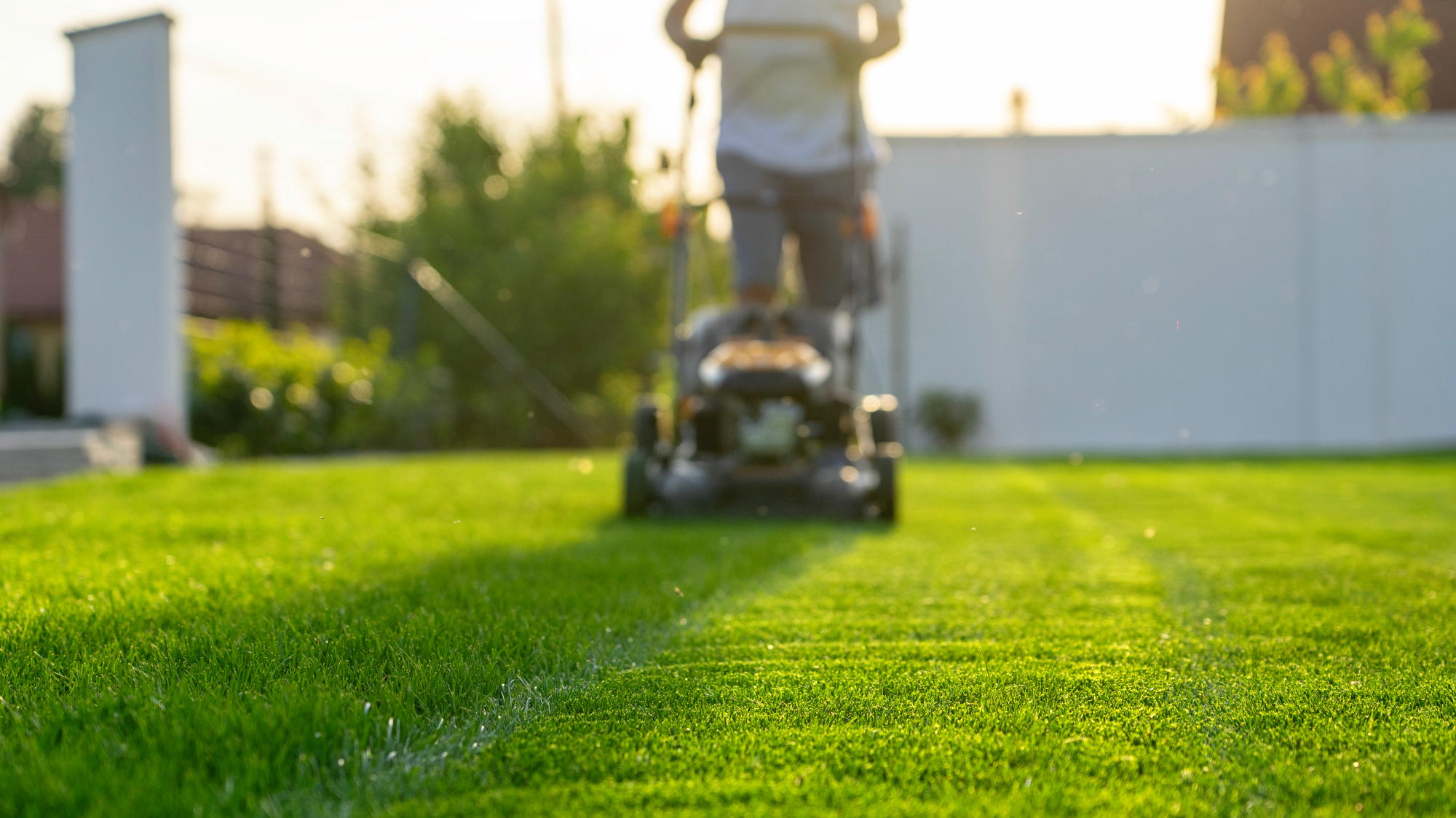 man mowing lawn of healthy green grass