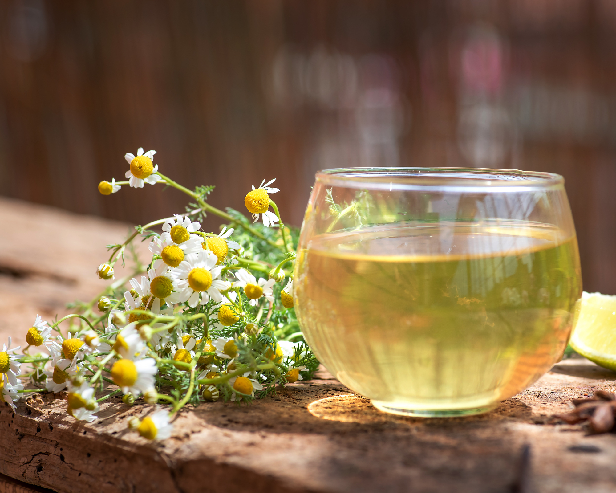 Glass mug of chamomile tea on a garden table with some fresh chamomile stems and flowers next to it