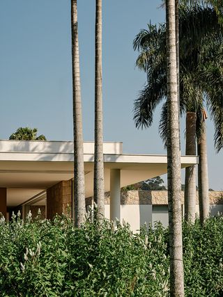 casa das palmeiras with its minimalist, low, white forms, curved openings and indoor/outdoor relationships in sao paulo's warm climate lifestyle