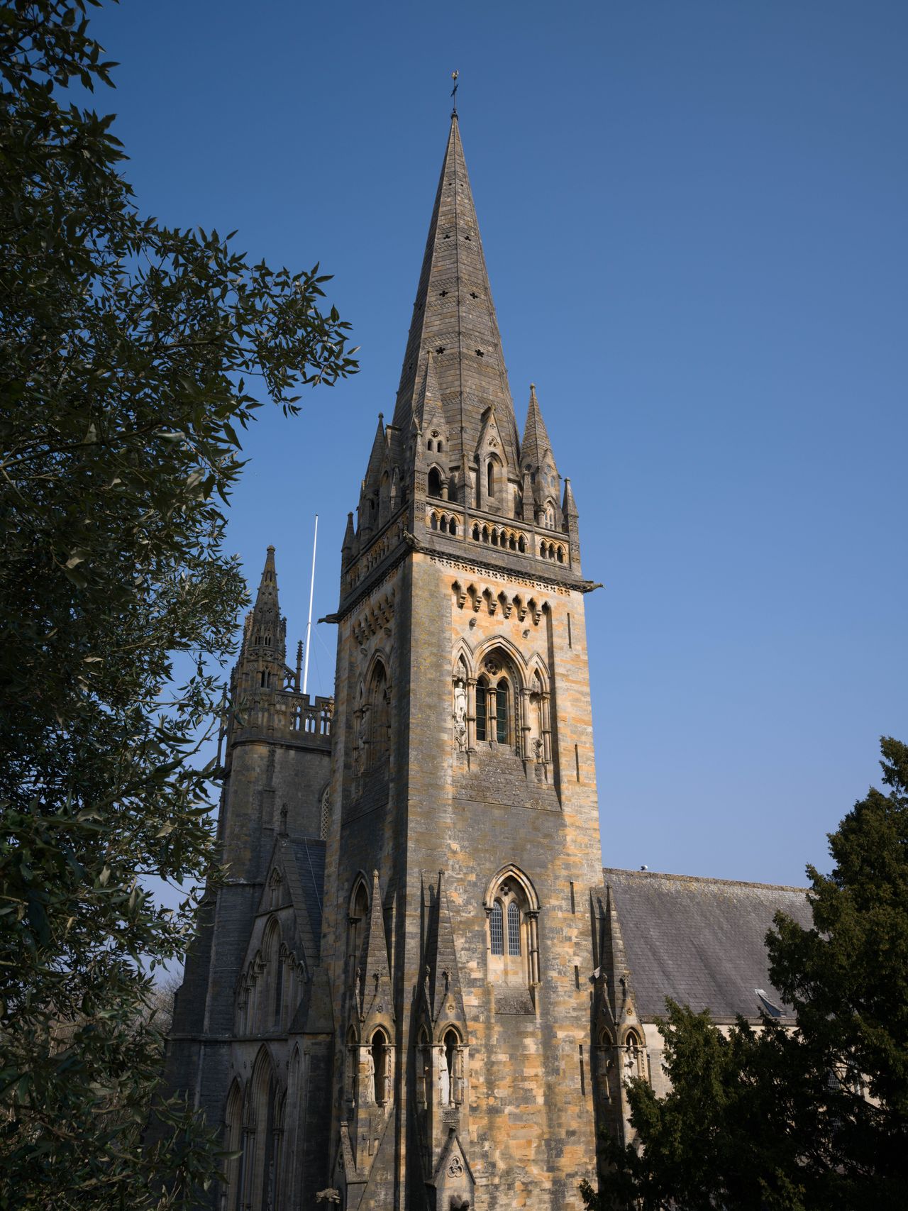 A portrait of a cathedral steeple against a blue sky with a tree in the left of the shot