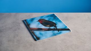 Blurb photo book photographed on a table in front of a blue background