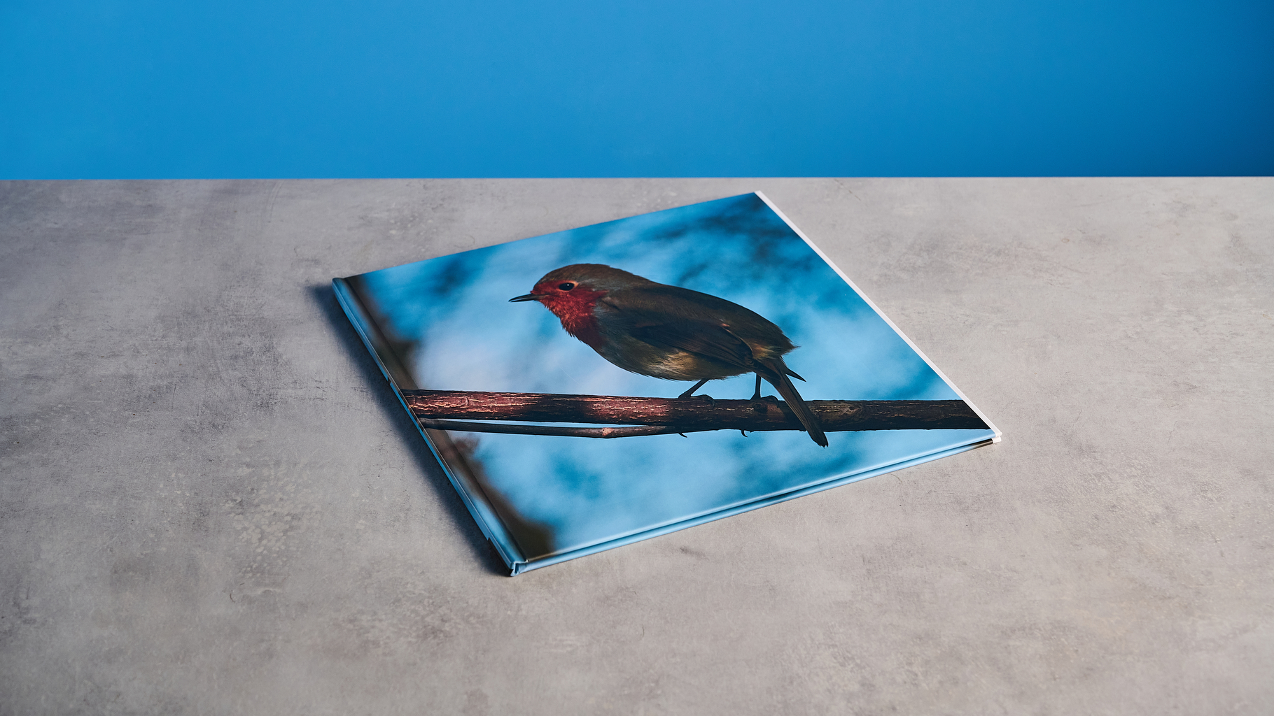 Blurb photo book photographed on a table in front of a blue background