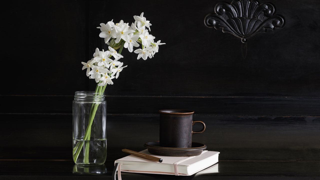 Cut paperwhite narcissi in glass jar with dark background