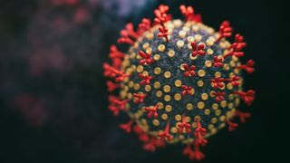 illustration of one coronavirus particle
