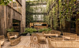 Wicker seating area on the veranda surrounded by hanging foliage