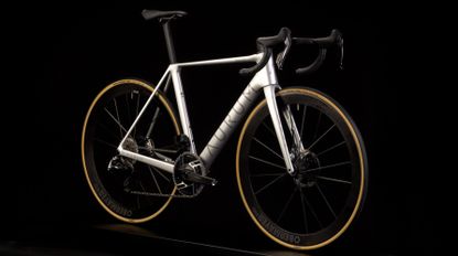 Aurum Magma x Lightweight SE bike Jan 2025