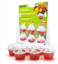 BEAPCO  Premium Fruit Fly Traps