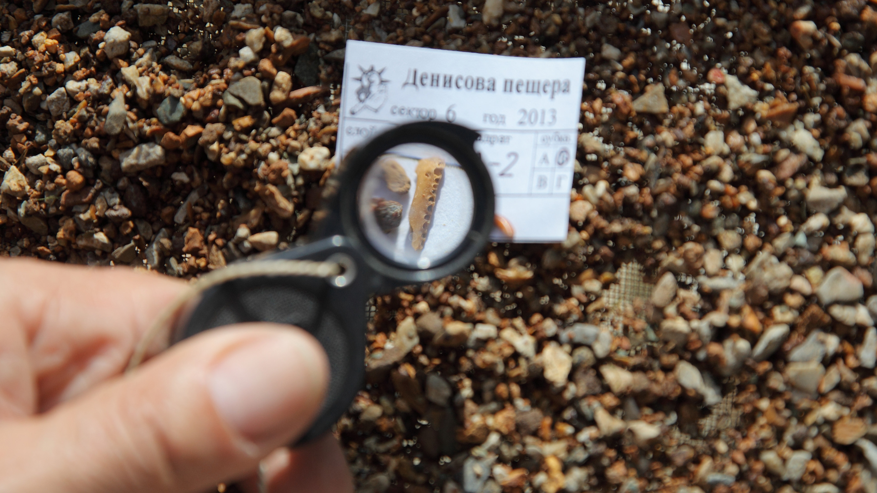 Here, one of the Denisovan bones found in Denisova Cave in Siberia.