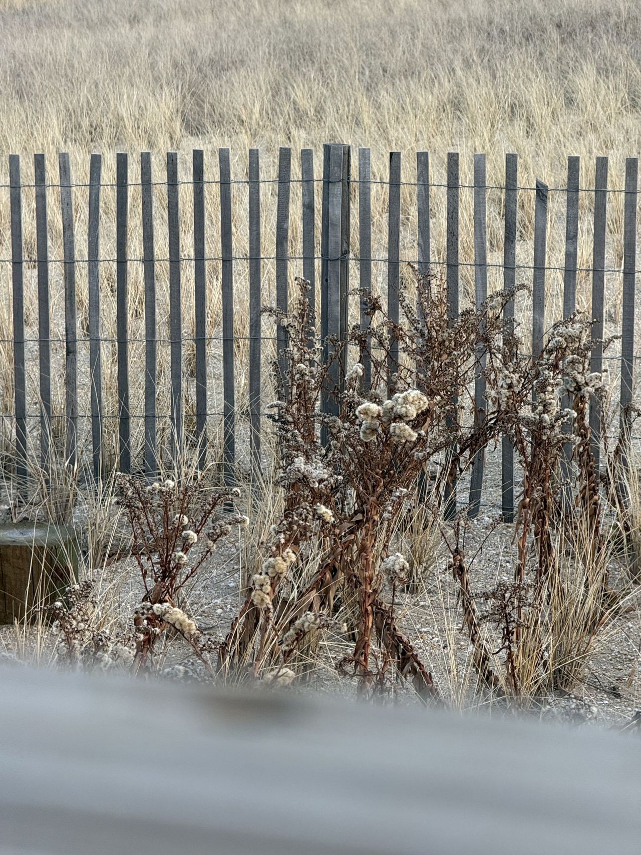 Camera tips and trick - Zoom parallax effect sample.
