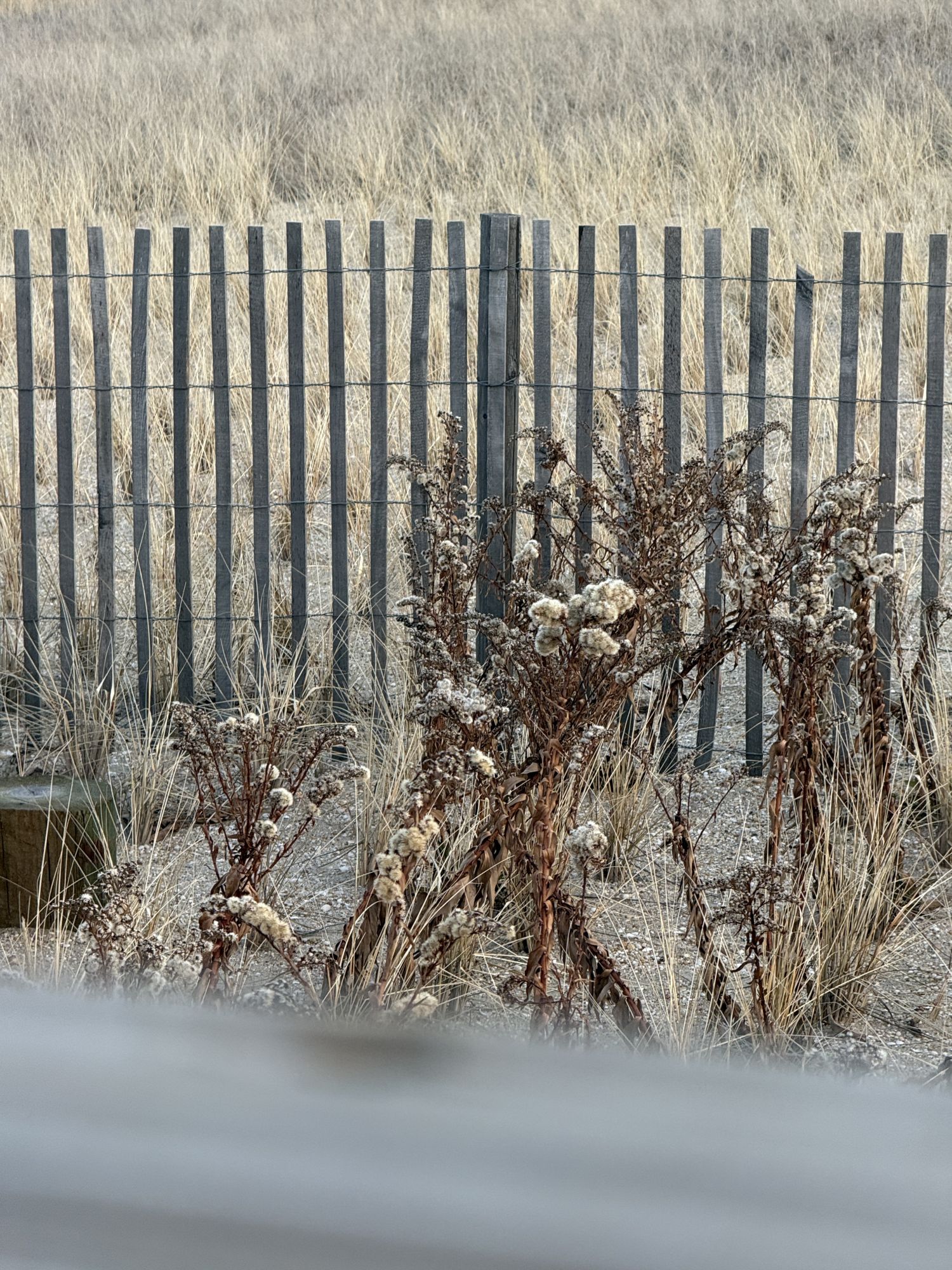 Camera tips and trick - Zoom parallax effect sample.