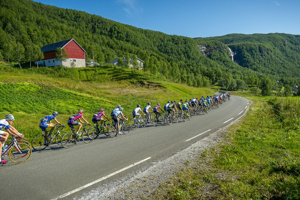 The peloton lined out