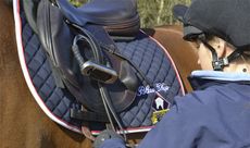 blue-chip-branded-saddle-pad-in-Navy-copy.jpg