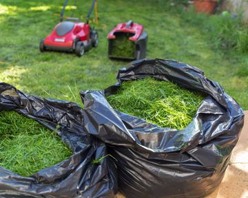 Mulching: a guide on when and how to mulch your garden | GardeningEtc