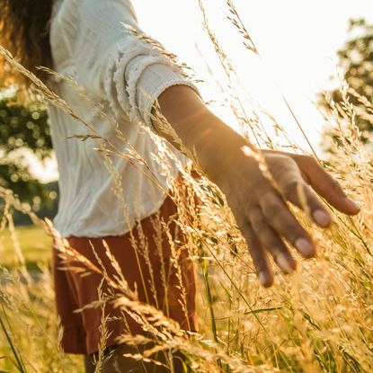 Woman running her hand through a wheat field