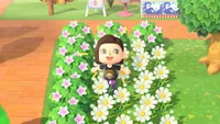 Animal Crossing: New Horizons shrubs