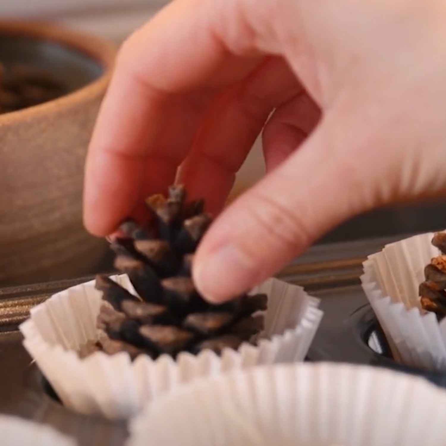 pine cone fire lighters in white cupcake cases