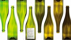 Champagne Telmont bottles in varying shades of green