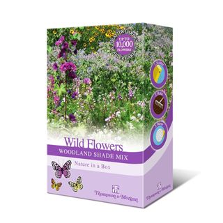 Puple box of Woodland Garden Wildflower Seeds for Bees and Butterflies