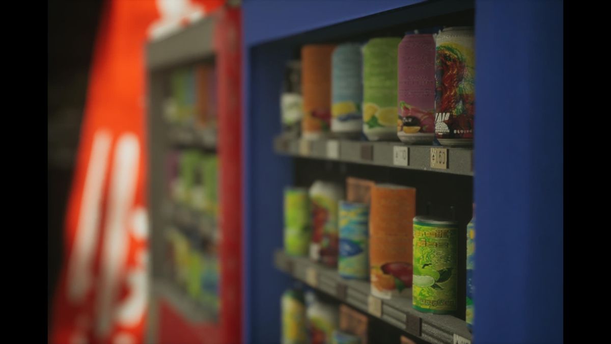 Screenshot of the photography simulator game Lushfoil Photography Sim, depicting canned goods on shelves in a market