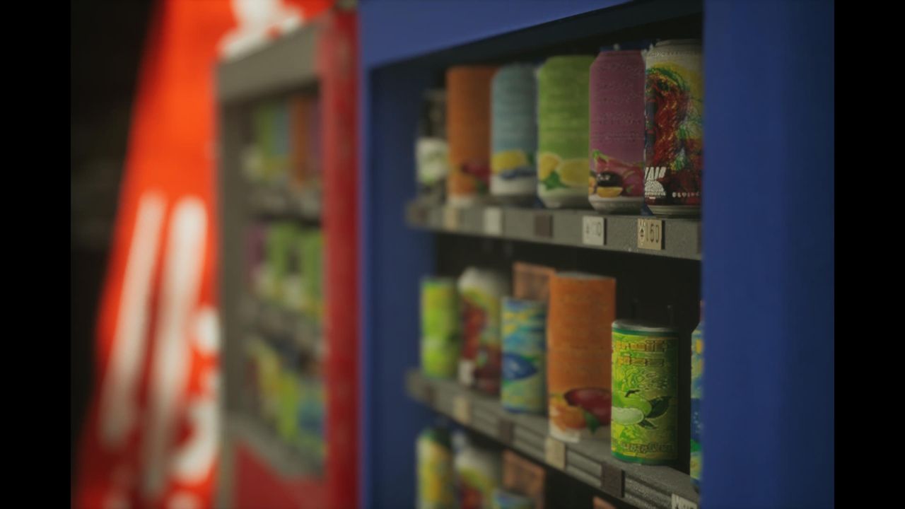 Screenshot of the photography simulator game Lushfoil Photography Sim, depicting canned goods on shelves in a market