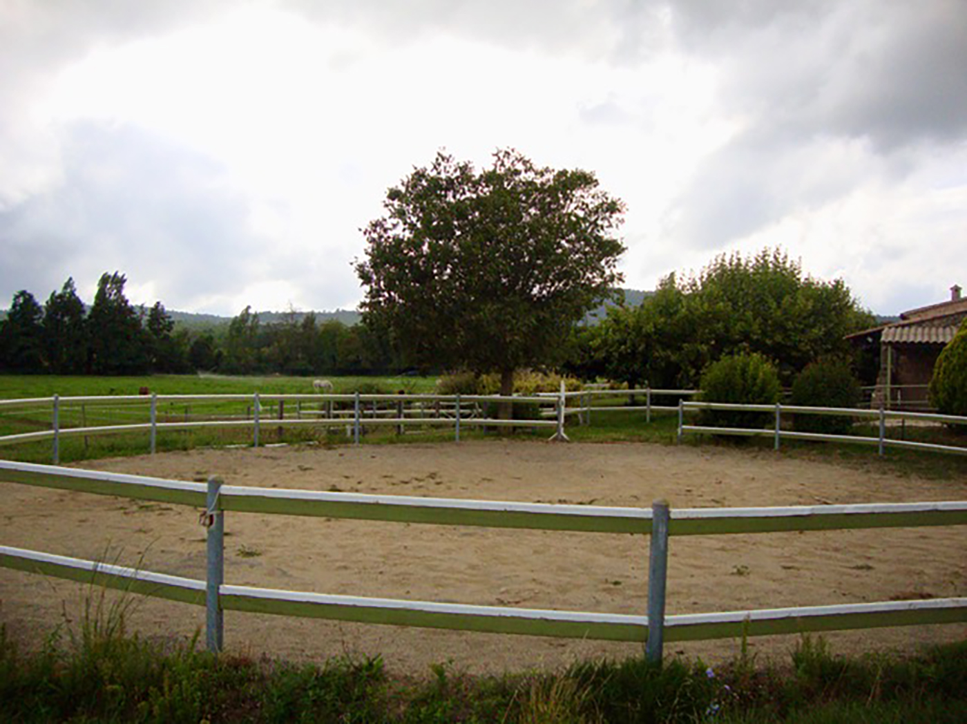 DSC04370