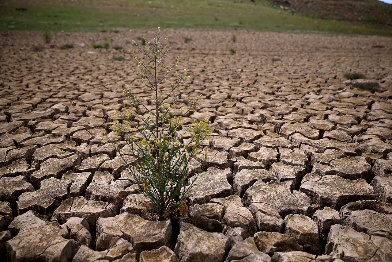 California drought