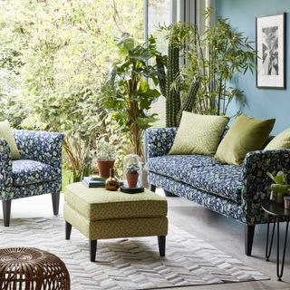 living room with blue wall blue designed sofa with cushions and plants