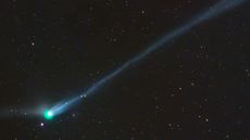 A photo of the green comet with a long tail in the night sky